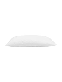 Wkład do poduszki z mikrofibry Sia, 45x45, Biały, S 45 x D 45 cm