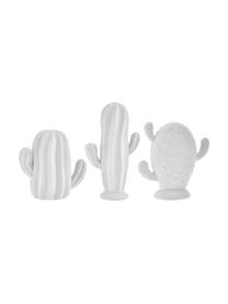 Decoratieve cactussenset Dina, 3-delig, Onbehandeld mat porselein, Wit, Set met verschillende formaten