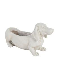 XL Übertopf Dog aus Beton, Beton, beschichtet, Gebrochenes Weiß, 50 x 27 cm