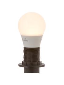 Lampadina a LED Azer (E14 / 3,5Watt) 5 pz, Paralume: vetro opale, Base lampadina: alluminio, Bianco, Ø 5 x Alt. 9 cm