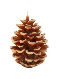 Bougie décorative Noël Pine, 2 élém., Cire, Tons bruns, Ø 10 x haut. 14 cm