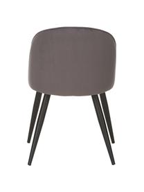 Sedia moderna imbottita in velluto Amy 2 pz, Rivestimento: velluto (poliestere) Con , Gambe: metallo verniciato a polv, Grigio scuro, Larg. 51 x Prof. 55 cm