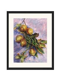 Oprawiony druk cyfrowy Lemons On A Branch, Wielobarwny, S 43 x W 53 cm