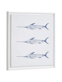 Gerahmter Digitaldruck Lavinia Swordfish, Rahmen: Mitteldichte Holzfaserpla, Bild: Leinwand, Weiss, Blau, B 30 x H 40 cm