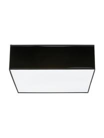 Moderne plafondlamp Mitra, Lampenkap: kunststof, Diffuser: kunststof, Frame: zwart. Diffuser: wit, 35 x 12 cm