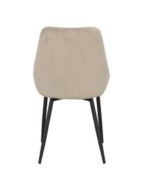 Sedia imbottita in velluto Alberton 2 pz, Rivestimento: 100% velluto di poliester, Gambe: metallo verniciato, Velluto beige, nero, Larg. 49 x Prof. 55 cm