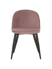 Sedia imbottita in velluto Amy 2 pz, Rivestimento: velluto (poliestere) 25.0, Gambe: metallo verniciato a polv, Velluto rosa, Larg. 51 x Prof. 55 cm