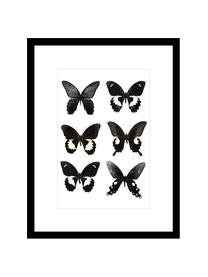 Ingelijste digitale print Butterflies Dark , Afbeelding: digitale afdruk, Frame: kunststof, Zwart, wit, B 30 x H 40 cm