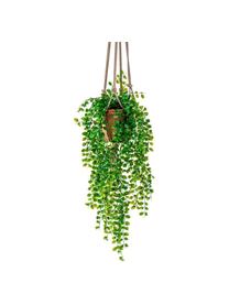 Planta artificial Ficus, Poliéster, Látex, Polipropileno, Alambre de metal, Verde, Ø 20 x Al 80 cm