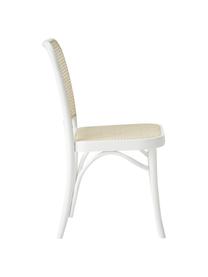 Chaise en cannage Franz, Bois de hêtre blanc laqué, rotin, larg. 48 x haut. 89 cm