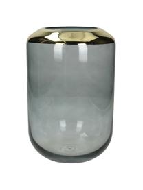 Vaso in vetro Janak, Vetro, Grigio, trasparente, dorato, Ø 16 x Alt. 25 cm