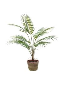 Planta artificial Palm Vintage, Poliéster, polietileno, Verde, Ø 35 x Al 70 cm