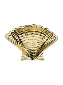 Miska na šperky Shell, Potažený kov, Mosazná, Š 14 cm, V 2 cm