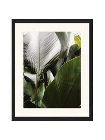 Impression numérique encadrée Palm Tree Leaves, Multicolore, larg. 43 cm, haut. 53 cm
