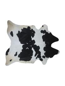 Koberec z hovězí kůže Otto, Hovězí kuže, Černá, bílá, Hovězí kůže, unikát, 974, 160 x 180 cm