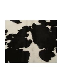 Tapis en peau de vache Otto, Peau de vache, Noir, blanc, Peau de vache, exemplaire unique nº 975, 160 x 180 cm