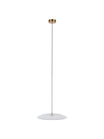 Dimbare LED hanglamp Float van glas, Lampenkap: glas, Baldakijn: gecoat metaal, Goudkleurig, transparant, Ø 50 x H 7 cm
