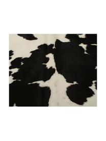 Alfombra de piel bovina Otto, Piel bovina, Negro, blanco, Piel bovina única 975, 160 x 180 cm