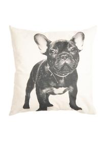 Housse de coussin Dog, Blanc cassé, noir