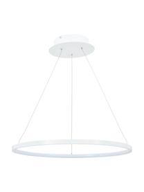 Závesná lampa LED Jay, Stropný kryt: matná biela Tienidlo: matná biela Kábel: odtiene striebornej