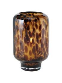 Windlicht Leopard van glas, Glas, geverfd, Bruintinten, Ø 14 x H 22 cm