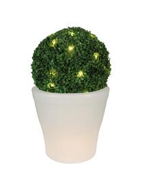 Prenosná LED lampa do exteriéru Flowerpot, Biela