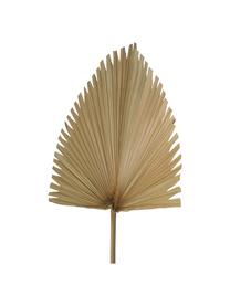 Flor artificial Palmenblatt, Poliéster, Beige, An 40 x Al 85 cm