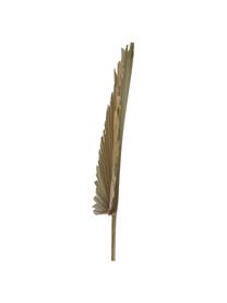 Fleur artificielle Palm Leaf, Polyester, Brun clair, larg. 40 x haut. 85 cm