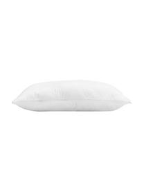 Garnissage de coussin 60x60 en microfibre Premium Sia, Blanc, larg. 60 x long. 60 cm