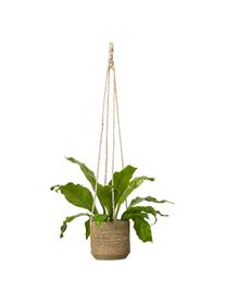 Kleine hangende plantenpot Belle met binnenfolie, Beige, Ø 16 x H 75 cm