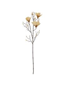 Fleur artificielle Magnolia, Plastique (PVC), fil d'acier, Blanc crème, brun, long. 85 cm