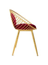 Silla tapizada Vivianna, Estructura: metal, Tapizado: terciopelo, Dorado, rojo, An 12 x Al 70 cm