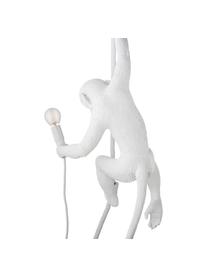 Zewnętrzna lampa dekoracyjna LED z wtyczką Monkey, Żywica syntetyczna, Biały, S 37 x W 77 cm