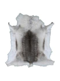Tapis en peau de renne Marlen, Peau de renne, Tons bruns, blanc, Peau de renne - exemplaire unique 141, 75 x 115 cm