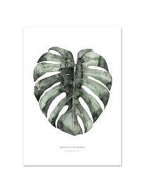 Poster Urban Monstera, Stampa digitale su carta, 200 g/m², Bianco, verde, Larg. 21 x Alt. 30 cm