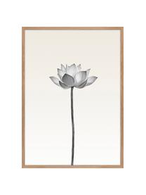 Ingelijste digitale print Lotus, Afbeelding: digitale druk op papier (, Lijst: HDF, Zwart, wit, beige, 50 x 70 cm