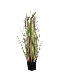 Herbe artificielle en cache-pot Rochel, Plastique, Vert, tons bruns, Ø 11 x haut. 78 cm