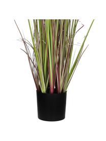 Herbe artificielle en cache-pot Rochel, Plastique, Vert, tons bruns, Ø 11 x haut. 78 cm