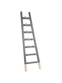 Estantería escalera de pared Helia, Madera de pino, recubierta, Gris, madera de pino, An 46 x Al 170 cm