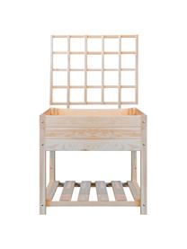 Soporte para plantas Gertrude, Madera de pino, Beige, An 78 x Al 85 cm