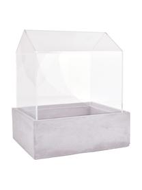 Mini-serra Budi, Cemento, vetro, Grigio trasparente, Larg. 24 x Alt. 28 cm
