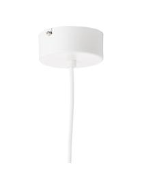 Mała lampa wisząca LED Swing, Biały, kremowy, Ø 22 cm