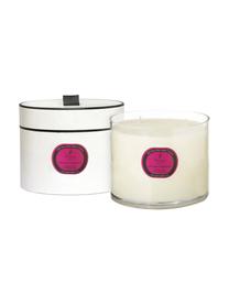 4-lonts-geurkaars Aromatherapy (vijg, cassis & sinaasappel), Houder: glas, Transparant, crèmekleurig, Ø 14 x H 15 cm