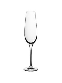 Súprava pohárov na sekt a šampanské z hladkého krištáľového skla Harmony, 6 dielov, Priesvitná
