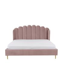 Cama tapizada en terciopelo Glamour, Estructura: madera de pino maciza, Patas: metal latón, Tapizado: terciopelo (poliéster) Al, Terciopelo rosa, 160 x 200 cm