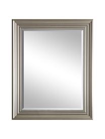 Specchio rettangolare da parete con cornice argentata Haylen, Cornice: materiale sintetico, Superficie dello specchio: lastra di vetro, Argentato, Larg. 64 x Alt. 79 cm