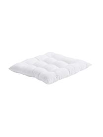 Coussin de chaise 40x40 coton blanc Ava, Blanc, larg. 40 x long. 40 cm