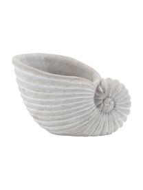 Decoratief object Shell van keramiek in grijs, Beton, Lichtgrijs, B 16 x H 10 cm