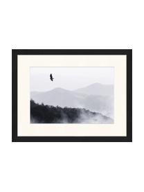 Stampa digitale incorniciata Bird Flying Over Misty Hills, Immagine: stampa digitale su carta,, Cornice: legno, verniciato, Nero, bianco, Larg. 43 x Alt. 33 cm