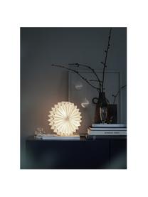 Decorazione in carta con LED Julius, Carta, Bianco, Ø 25 cm